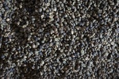 Coffee roasters fear port logjams could disrupt supplies