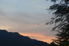 After hectic year, calm 2020 expected