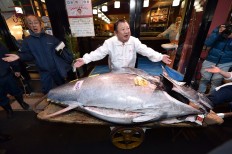 Kiyoshi Kimura (C), President of Kiyomura Corp., the Tokyo-based operator of sushi restaurant chain Sushizanmai, displays a 276-kilogram bluefin tuna that fetched 193.2 million yen (1.8 million USD) at his main restaurant in Tokyo on January 5, 2020 after the New Year's auction at Toyosu fish market.
