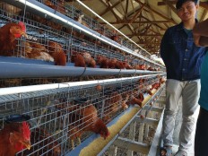 Japfa gears business strategy toward overcoming impacts of pandemic