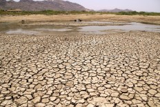 A general view of a lake running dry on a hot summer day near Ajmer, India, on June 2, 2019. 