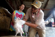 A veterinarian checks the condition of a pet dog affected by the massive floods that hit Greater Jakarta in the first days of the new year at the Jakarta Maritime, Fisheries and Food Security Agency (DKPKP) office in Johar Baru, Jakarta on Friday, January 6, 2020. 