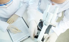 Jokowi wants BRIN to take center stage in research efforts