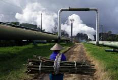 Indonesia needs international cooperation to develop its geothermal power