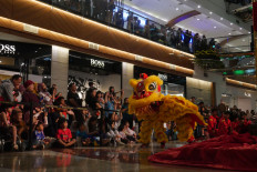 Performers from the Barongsai Kong Ha Hong group showcase the lion dance at a mall in South Jakarta on Wednesday in celebration of Chinese New Year.