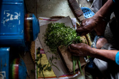 Workers slice spring onions, one of the ingredients in making crackers, in Depok, West Java, on January. 15. JP/Afriadi Hikmal