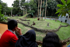 'We will continue your great service': 'Mother Teresa of the Orangutans' dies at 99