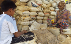 'Gold money' helps Sumbawa recover from earthquakes, but now it battles mercury poisoning