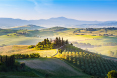 Relishing the rolling hills of Val D'orcia in Tuscany