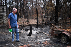 Half of Australians donated to bushfire appeal: Survey