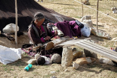 In this picture taken on August 29, 2019, a Changpa nomad looms pashmina wool in a nomadic camp, some 1km from Korzok village, in the Leh district of Ladakh. 