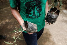 Sanjaya, a volunteer, carries banyan plants. JP/Anggara Mahendra