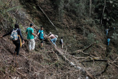 Farmers and volunteers walk over a fallen tree. JP/Anggara Mahendra