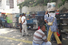 Indonesia, time to ban wildlife markets: Activists' take on Wuhan coronavirus