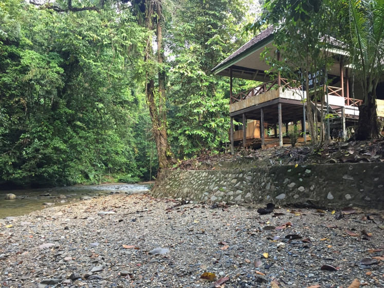 Safe haven: The Dayak hunters' camp in Tane Olan is now open to visitors who wish to
spend a night in the jungle.
