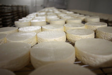 Pasteurised camembert? French cheesemakers vote 'Non'
