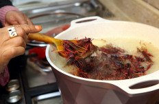 Moudi al-Miftah, a 64-year-old journalist, cooks locust at her home in Al-Ahmadi, some 35 kilometers south of Kuwait City, on January 25, 2020. 