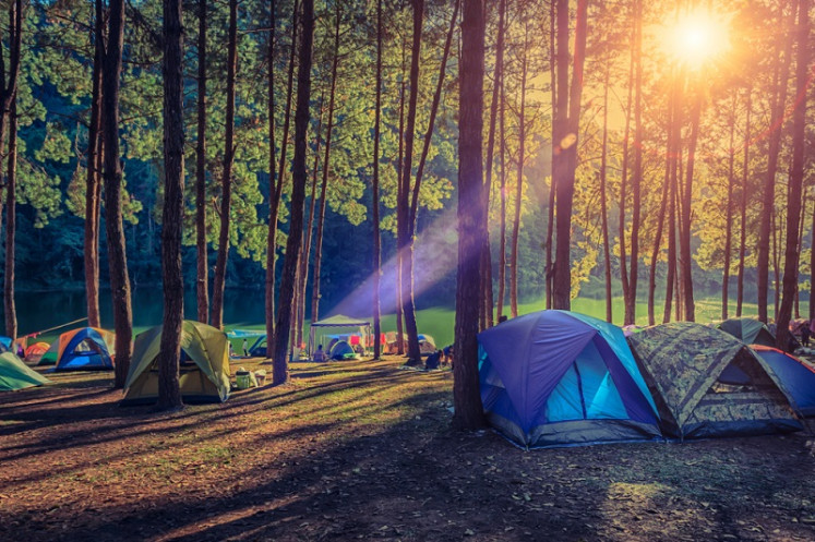 Illustration of camping.