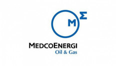 Energy heavyweight Medco books $95m loss in first half