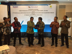 PLN secures 30 MW power supply deal from South Kalimantan iron miner
