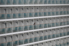 Navy quarantines 188 Indonesian World Dream crew members in Jakarta