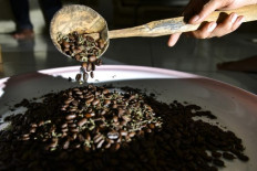 Cannabis coffee: Indonesia's sharia stronghold sidesteps drug ban