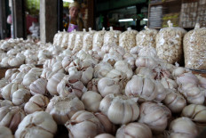 Garlic stock will only suffice until April without Chinese imports