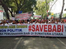 #SaveBabi: Medan demonstrators protest pig culling amid swine fever outbreak
