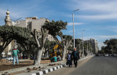 Cairo's green lung razed for roads to new desert capital