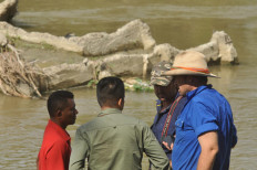 Day 1: Australian experts set trap to rescue Palu crocodile choked by tire for years