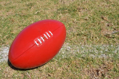 Since their establishment almost 25 years ago, the Bintangs have grown to accommodate not only expatriates but local Indonesians as well.