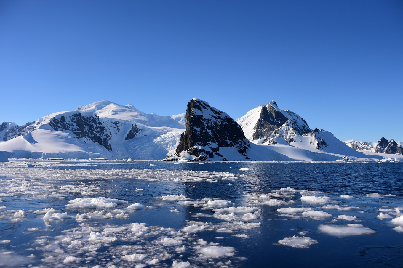 Antarctica registers record temperature of over 20C - Environment - The Jakarta Post