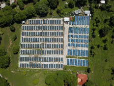 Energy watchdogs call for less coal, more renewables in PLN long-term power plan