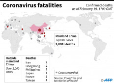 Coronavirus kills two Iranians, first Mideast deaths  
