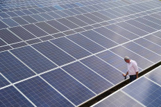 Solar energy expands quickly in Brazil, attracts Chinese firms