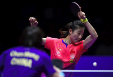 Table tennis world team championships postponed over virus