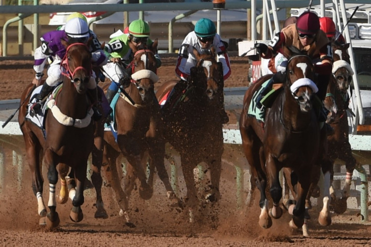 Jockeys compete at the King Abdulaziz Racetrack in the capital Riyadh on November 11, 2016. - The modern facility surrounded by greenery on the edge of Riyadh offers respite from the highways and urban sprawl of a city carved out of the desert. Horse racing is one of the few diversions in Saudi Arabia, where alcohol, public cinemas and theatres are banned.