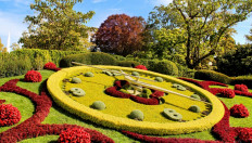 Geneva watch expo cancelled over coronavirus