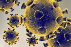 Qatar confirms first coronavirus case