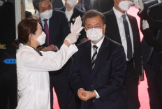 South Korea reports 376 more coronavirus cases, total 3,526