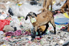 Govt inaugurates C. Java plant able to produce fuel from waste