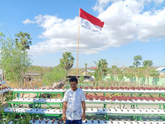 Young NTT farmers pin hopes on microcredit program to expand their agriculture business