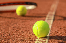 WTA can weather revenue hit but no normalcy until 2022: CEO