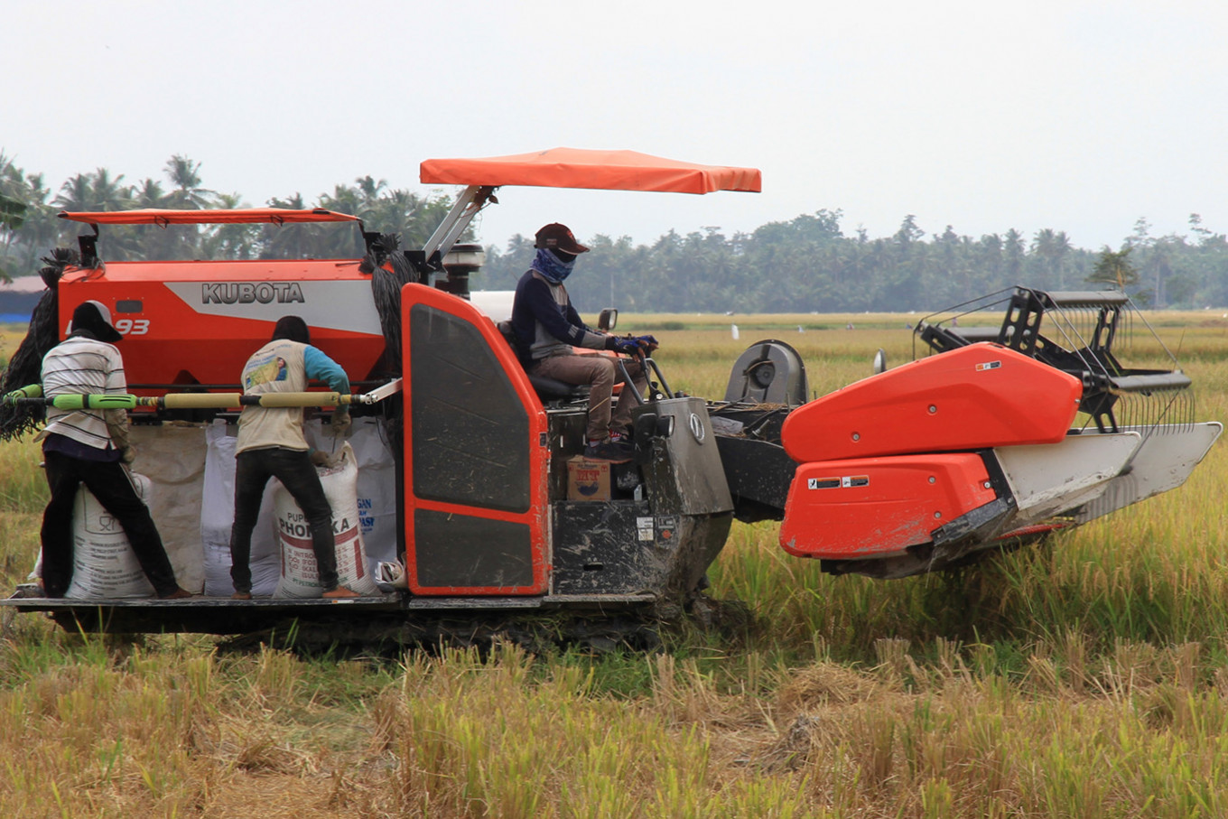 psst-we-are-self-sufficient-in-rice-flipboard