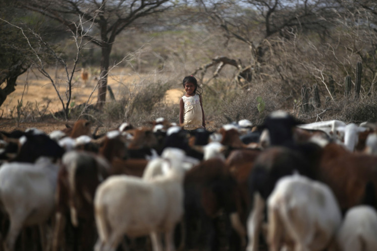 A Colombian girl from the indigenous Wayuu tribe herds goats in the desert, in Castilletes, Colombia February 20, 2020.