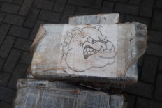 Pandemic fails to halt drug flows, record cocaine hauls: EU agency