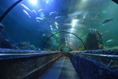 Ancol to reopen in 'new normal' mode on June 20