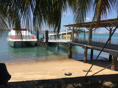 COVID-19: Batam ferry terminal mulls suspending operations amid declining income