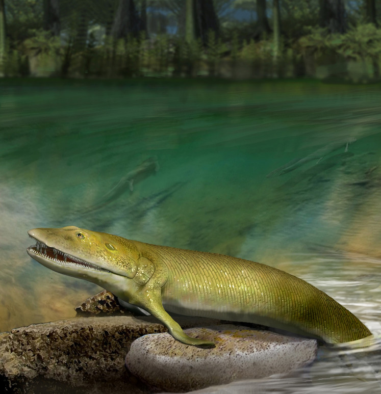 An artist's reconstruction of the extinct fish Elpistostege watsoni, which lived about 380 million years ago in what is now Quebec, Canada, is seen in this illustration released to Reuters on March 18, 2020.
