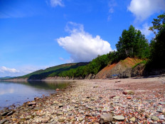 Fins of prehistoric fish reveal origins of the human hand